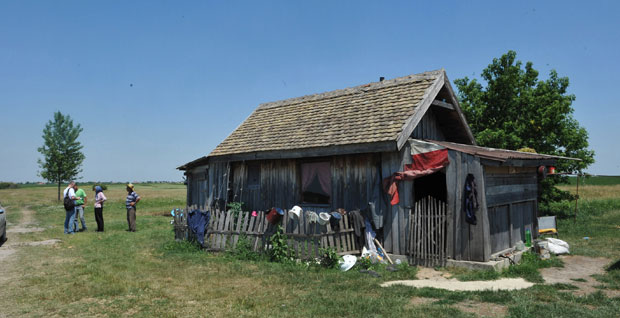 Од 70 оваца остала једино вуна!